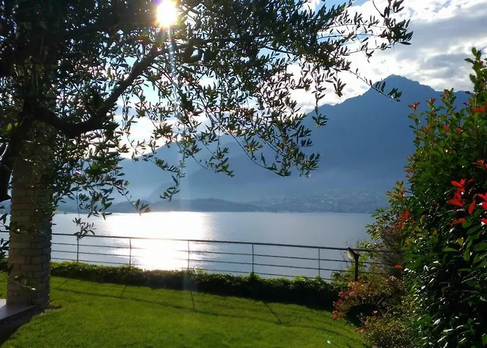 Il Giardino Di Lory *