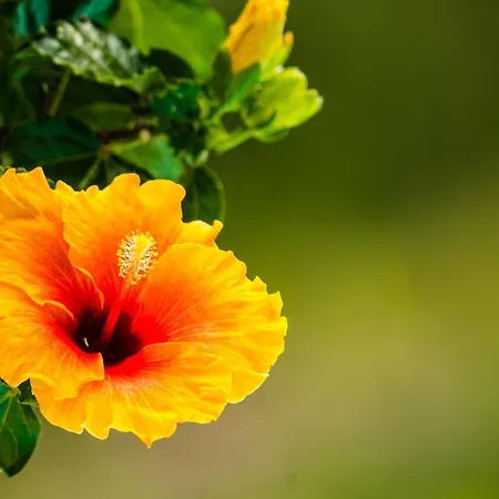 アパート Il Giardino Di Lory Vercana