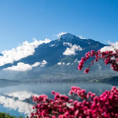 Il Giardino Di Lory Lägenhet *