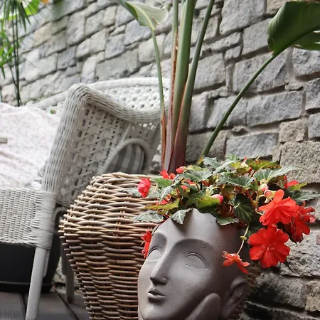 Il Giardino Di Lory Vercana