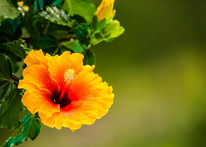 Apartamento Il Giardino Di Lory Vercana